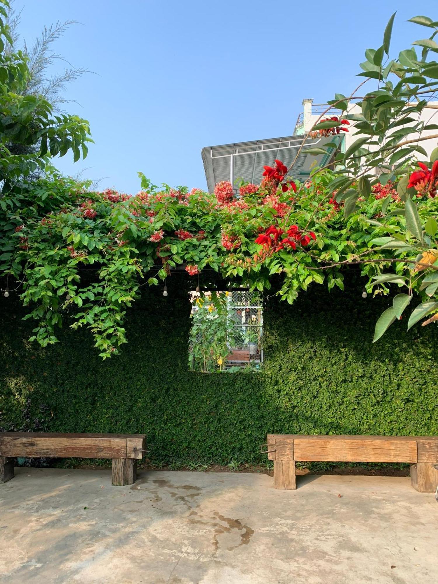 Dong Tac Yellow Farm Homestay מראה חיצוני תמונה