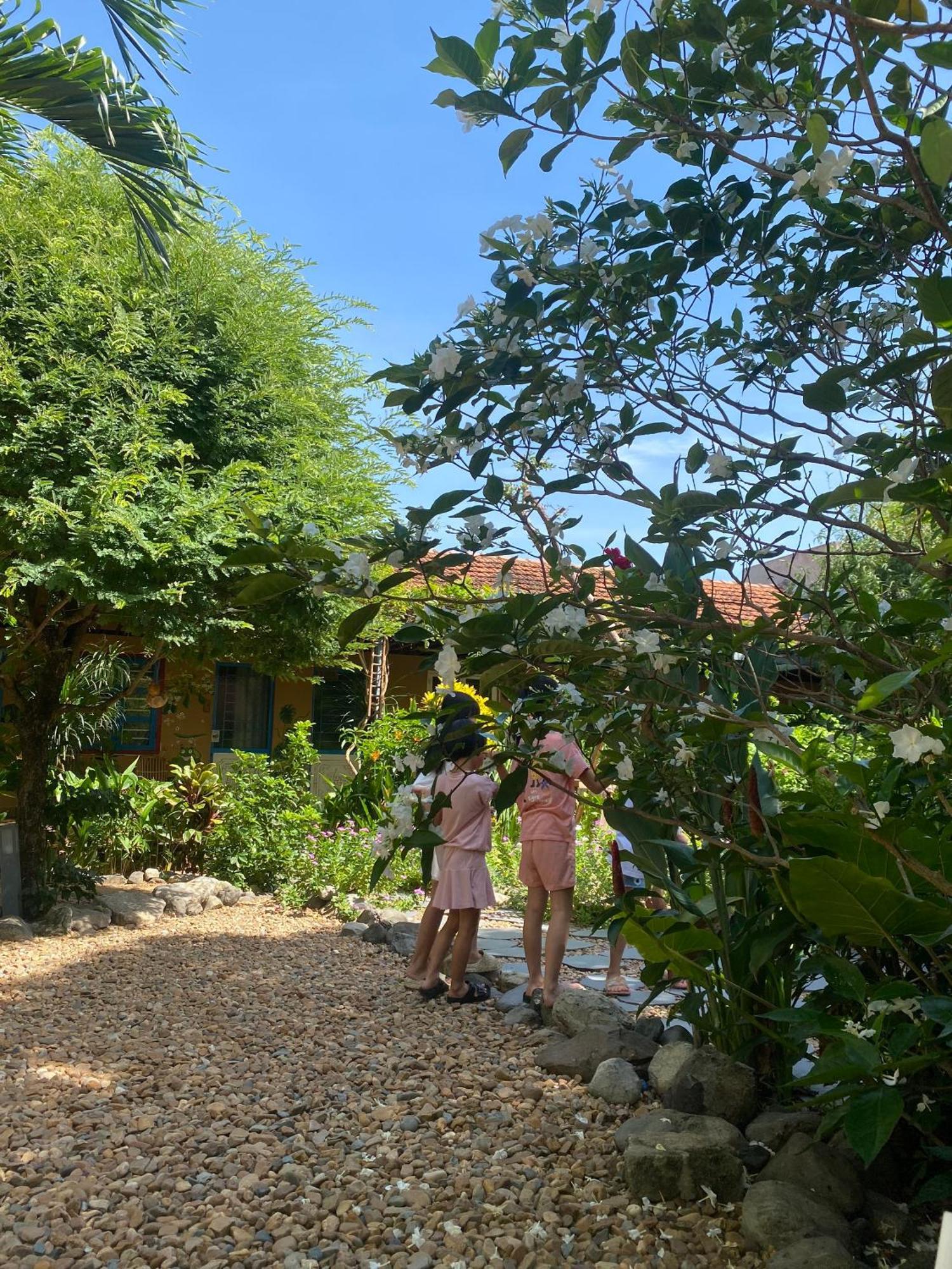 Dong Tac Yellow Farm Homestay מראה חיצוני תמונה