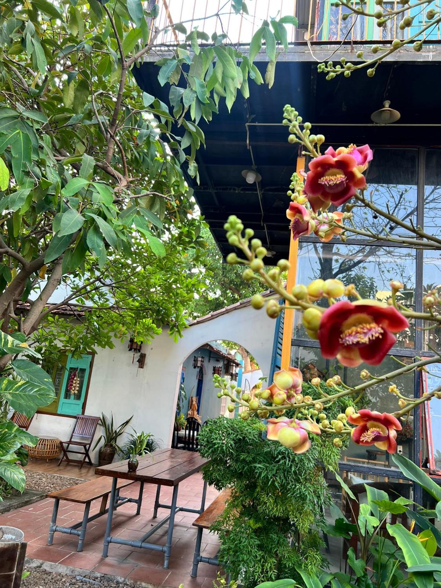 Dong Tac Yellow Farm Homestay מראה חיצוני תמונה